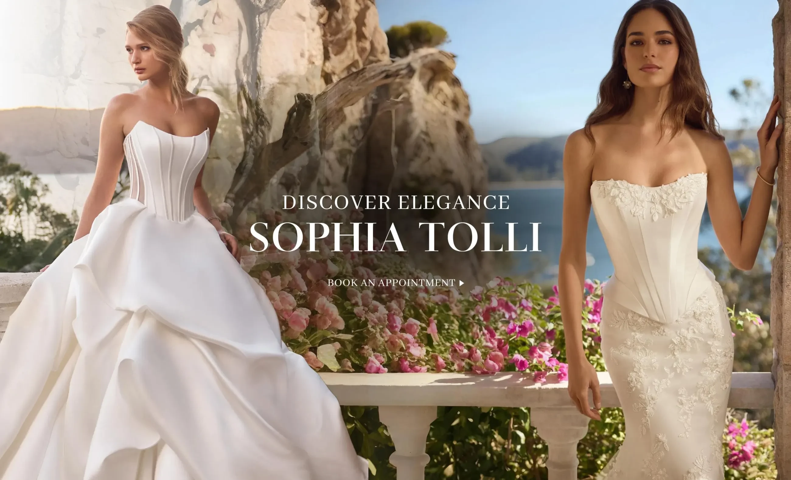 sophia tolli spring 2026 banner