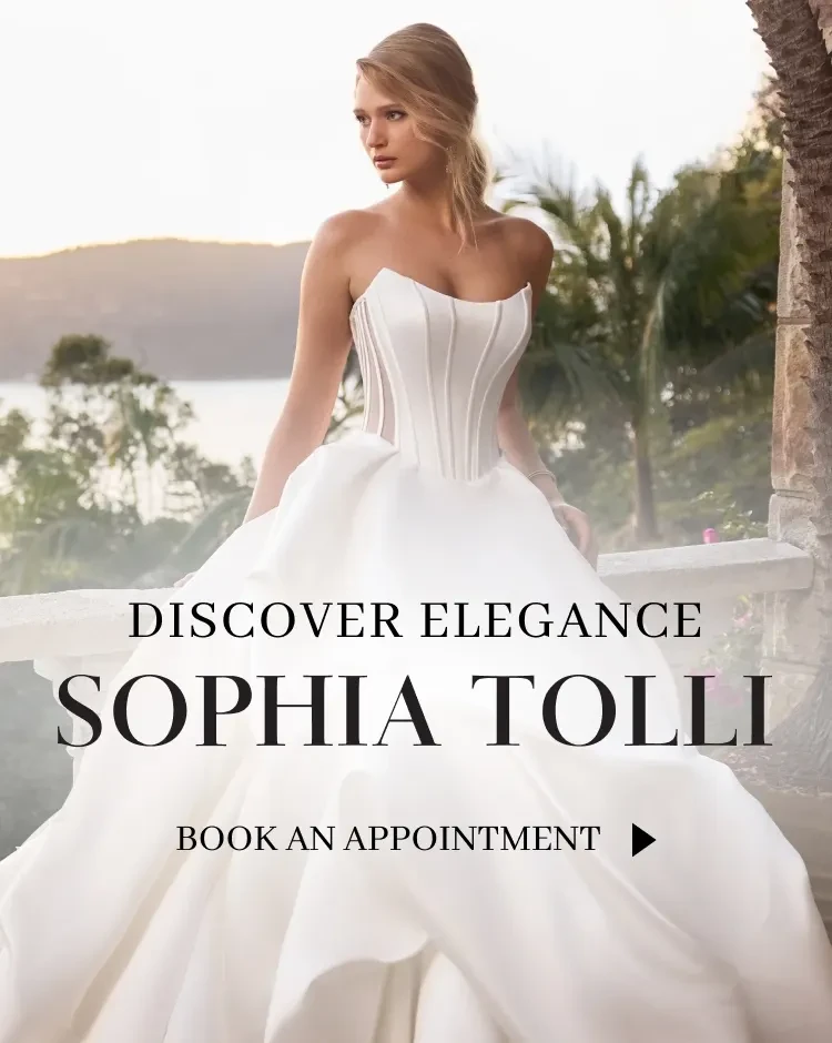 sophia tolli spring 2026 banner