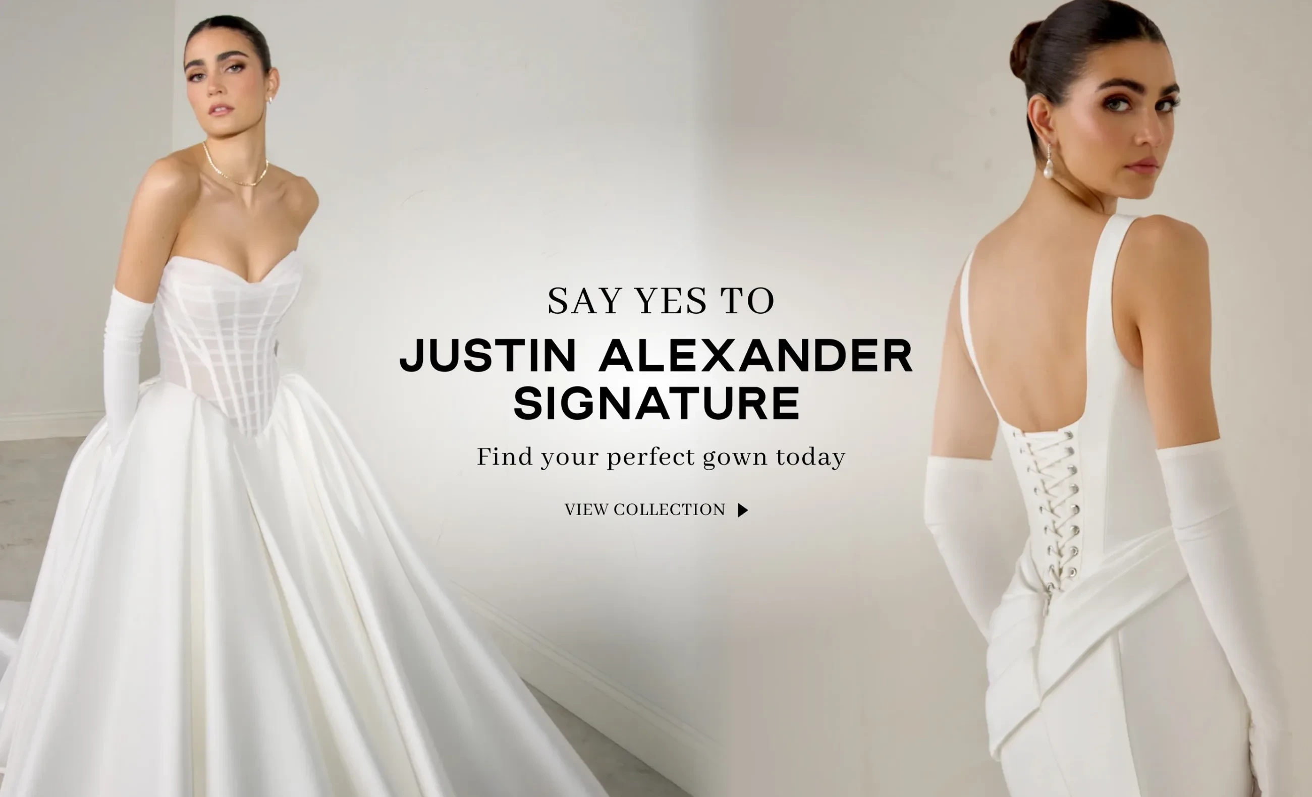 justin alexander signature 2026 banner