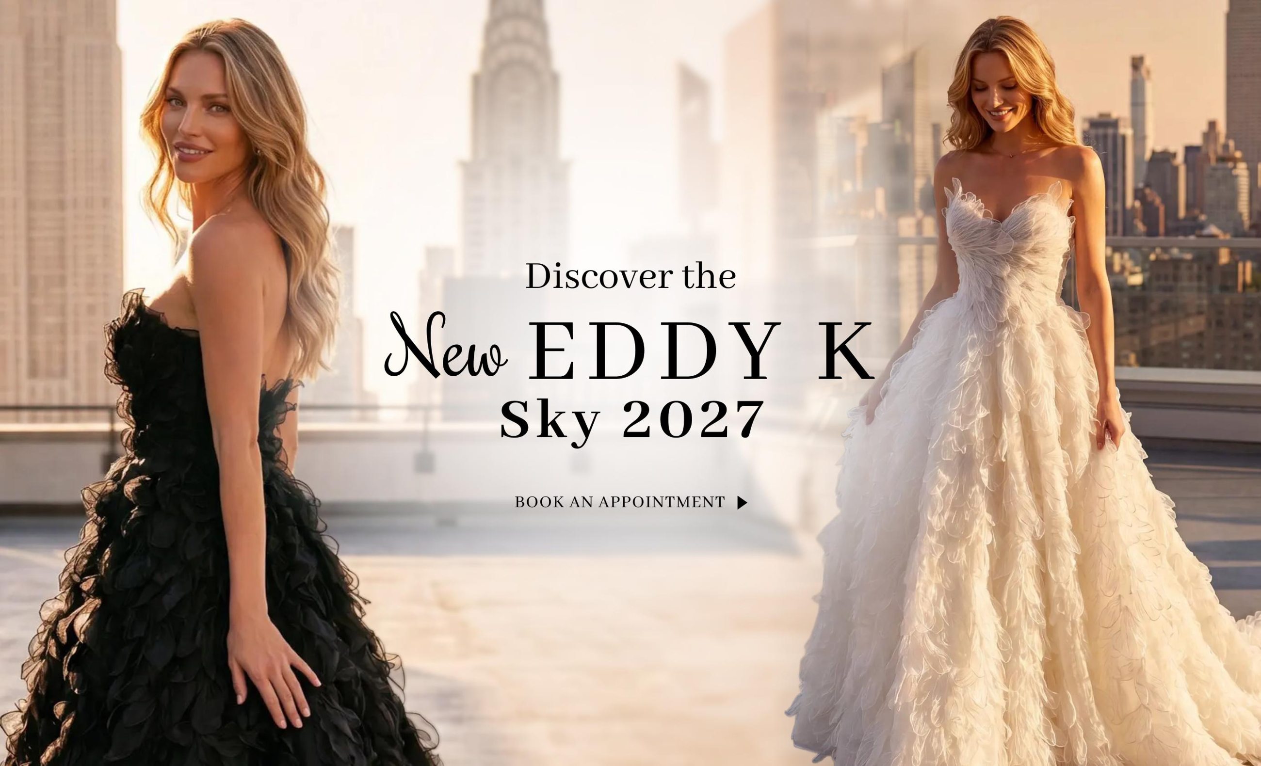 new eddy k sky 2027 banner
