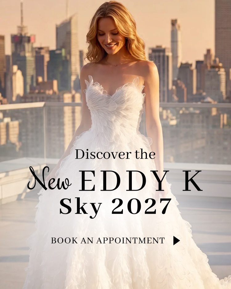 new eddy k sky 2027 banner